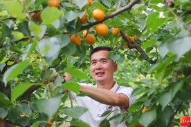 小确“杏”来了……图片