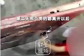 “雨衣男拖拽母女进屋”事件后续：女子隔日报警，男子被警方暂以非法侵入住宅罪和强奸罪立案调查图片