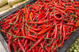 辣椒“辣么贵”何时回低位？价格拐点或在月底出现图片