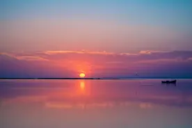 下焦湿热致前列腺炎，尿意频频，小便灼热，中医一方从根出发拿下图片