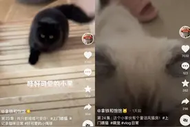 10个超适合女生的兼职副业！简单靠谱，让你钱包鼓鼓！图片