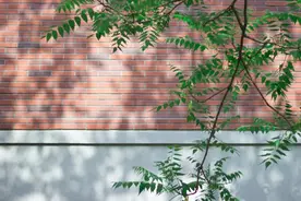 《菜根谭》10句经典，读后心静，遇事不慌！图片