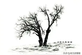 有手就能画，仅用一支圆珠笔，教你手绘一棵枯树图片