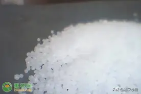 2023年2月份尿素价格多少钱一斤？图片