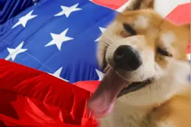你爱美国，美国爱你吗？图片