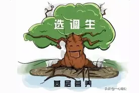 选调生和公务员有什么相同点和区别图片