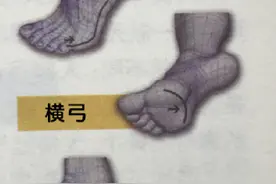 走久了经常会脚痛吗？揭秘足弓形成的真相，为孩子选鞋科学避坑图片