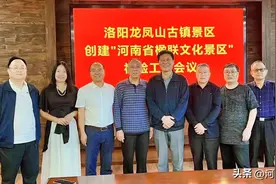 洛阳龙凤山古镇创建“河南省楹联文化景区”通过初验图片