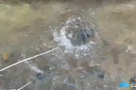 谷城这个地方藏有泉眼群，每天最大出水量可达千吨图片