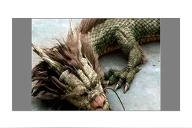 营口坠龙事件之谜：龙真的存在吗？图片