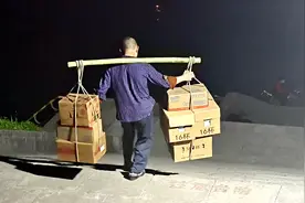 ​卷？还是不卷？图片