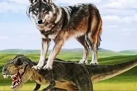 云南为什么没有正牌歌星，而只有“恐龙扛狼”式的网络歌手图片