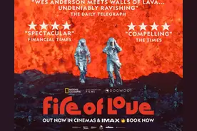 好评度99%，用生命谱写“火山挚恋”的夫妇，震撼了全世界图片