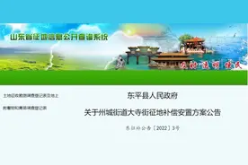 政策速递！山东省东平县发布征收土地补偿安置公告图片