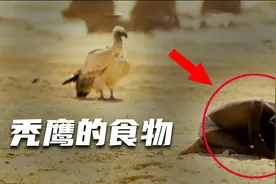 非洲从尸横遍野到中国基建，一张震惊世界的照片，在黑暗中求生存图片