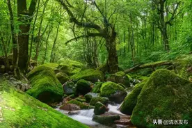清爽一夏｜千山万水 就爱天水图片