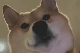 表情包｜嫌我烦了呗，不爱我了呗，感情淡了呗，失宠了呗图片