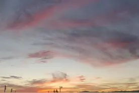 我见到你了图片