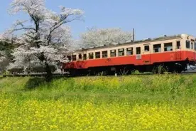 您宁愿坐20个小时的火车也不愿坐几个小时的高铁？知情人说出原因图片