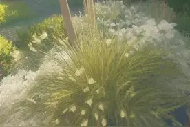 灵境绘画（32）风格：像素艺术图片