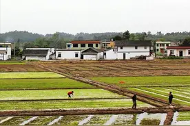 要“变天”了？乡村“五年规划”到关键点，合村并镇，注意6月后图片
