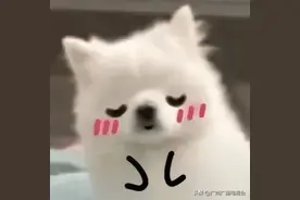 @广州街坊：本周上班时间有变！清明不止雨纷纷，还有冷空气+冰雹…图片