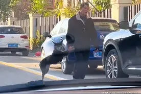 狗狗在街上耍赖不肯走，车主拍下有趣一幕，网友的调侃令人发笑图片