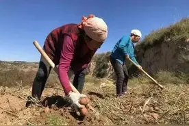 穷人的娇气吗？越穷的人教养越差，狭隘自私图片