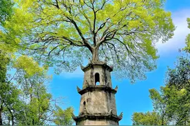 五一不远行，长沙望城小丽江，看惜字塔尖有棵树图片