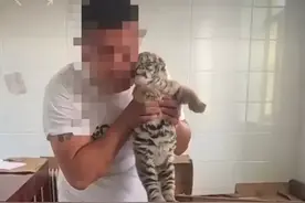 网传有人售卖老虎肉？警方通报图片