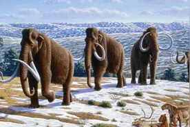 地球上现存的15种最古老的史前动物，第一名已经存在了七亿年！图片