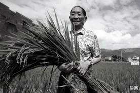 追忆“杂交水稻之父”袁隆平：虽未谋面，却身受其恩，永远怀念图片