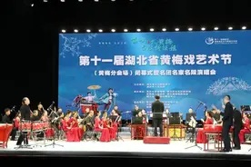 凤鸣声声 梅花绽放 黄梅戏名家名票演唱会在黄梅县举行图片