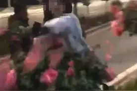 花季少女“辣手摧花”？什么操作？图片