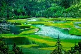 “露营”又双叒叕火啦！甘孜这十大绝美露营地，端午安排上图片