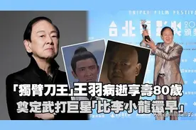 别了，“独臂刀王”图片