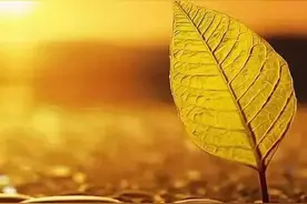 世间虽是俗冷，有你，便是十里春风图片