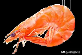 关于虾的正确做法和冷冻保存，看完这个，你就会了！图片
