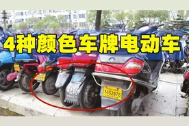 才知道，电动车绿牌、蓝牌、黄牌、白牌代表什么意思？上牌收费吗图片