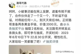 都是洞和路嫂下场开撕，看看网红人设后面的真实人生。图片