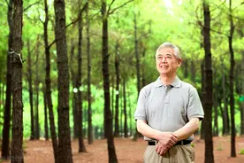 「高中」文学类文本十二种修辞专题知识梳理 （附例题及答案）图片