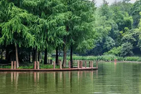 坐着云巴去游玩璧山秀湖公园，满眼都是美景，雨天更值得来-攻略图片