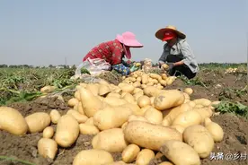 膨大素自己能配制吗？教你一个方法，比买的效果还好图片