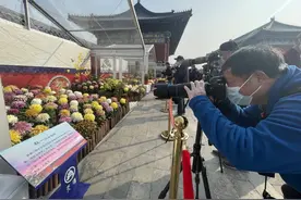 “千朵大立菊”开了！天坛公园6000多盆菊花等您来赏图片