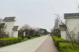 双流首个！获评市星级现代农业园区，TA凭什么图片