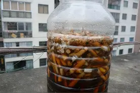 养花长虫怎么办？5种“无害除虫法”，利用家庭废料，轻松除花虫图片