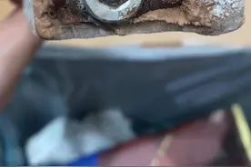 奇葩！女子吃雪糕吃出螺丝钉，涉事厂家已登门致歉图片