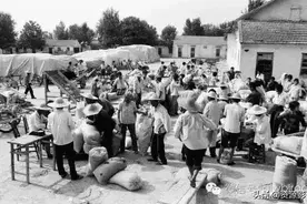 80年代，难忘秋季送公粮图片