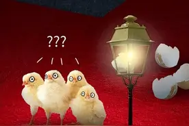 做鸡究竟有多惨？图片