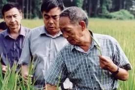 为什么袁隆平是美国科学院院士，但却非中科院院士呢？答案来了图片